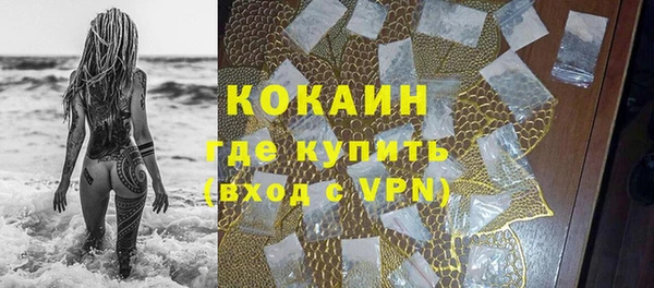 трава Новозыбков