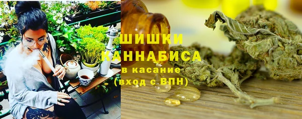 ПСИЛОЦИБИНОВЫЕ ГРИБЫ Бородино